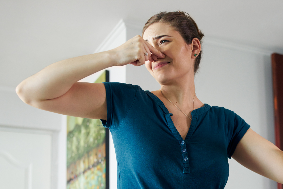 Smelly AC Odors